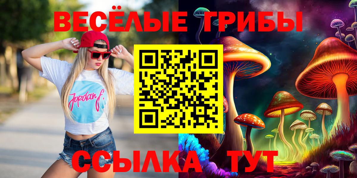 купить наркотики сайты  Псилоцибиновые грибы ЛСД  Вход с VPN  Богородицк 