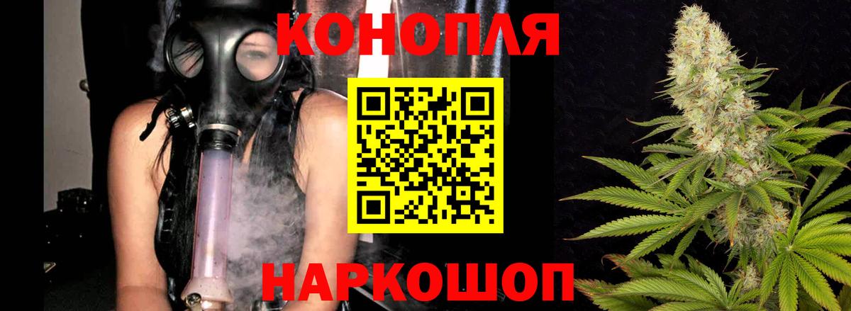 Бошки марихуана ГИДРОПОН Богородицк